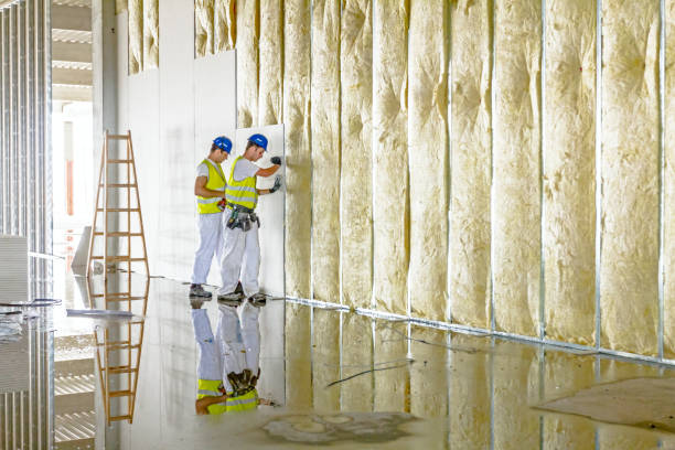 Types of Insulation We Offer in Sunset Hills, MO